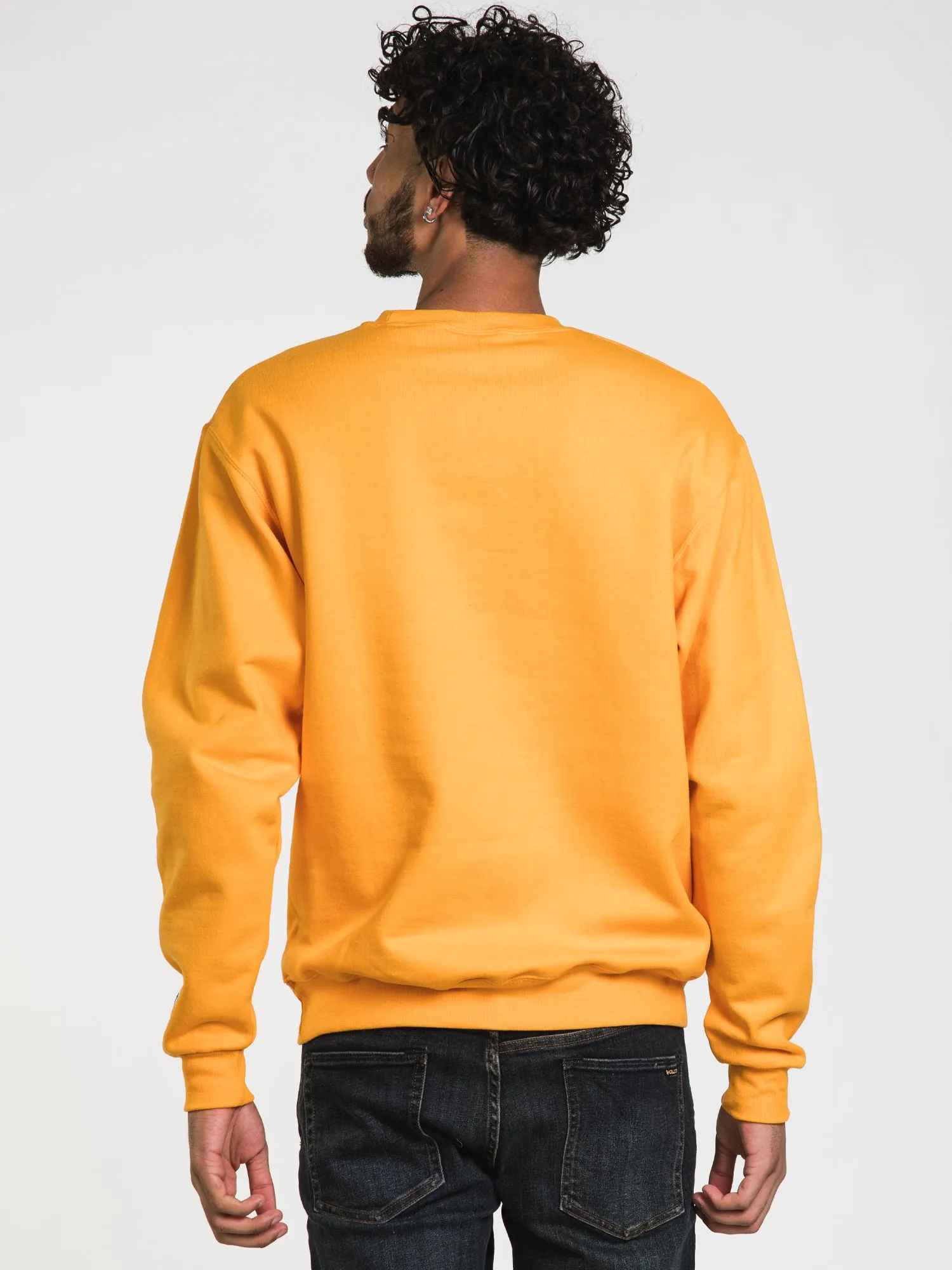 CHAMPION ECO POWERBLEND MICHIGAN CREWNECK SWEATER  - CLEARANCE