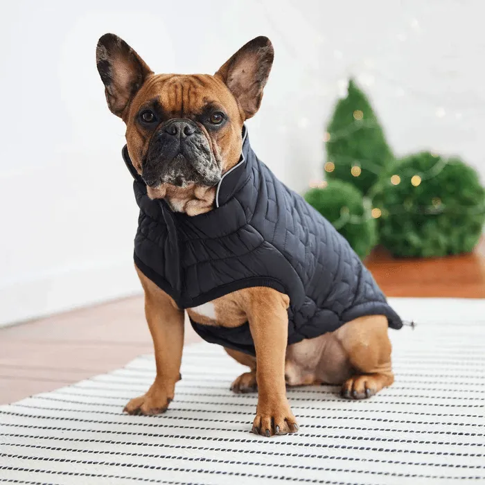 GF Pet Reversible Chalet Jacket Black For Dogs