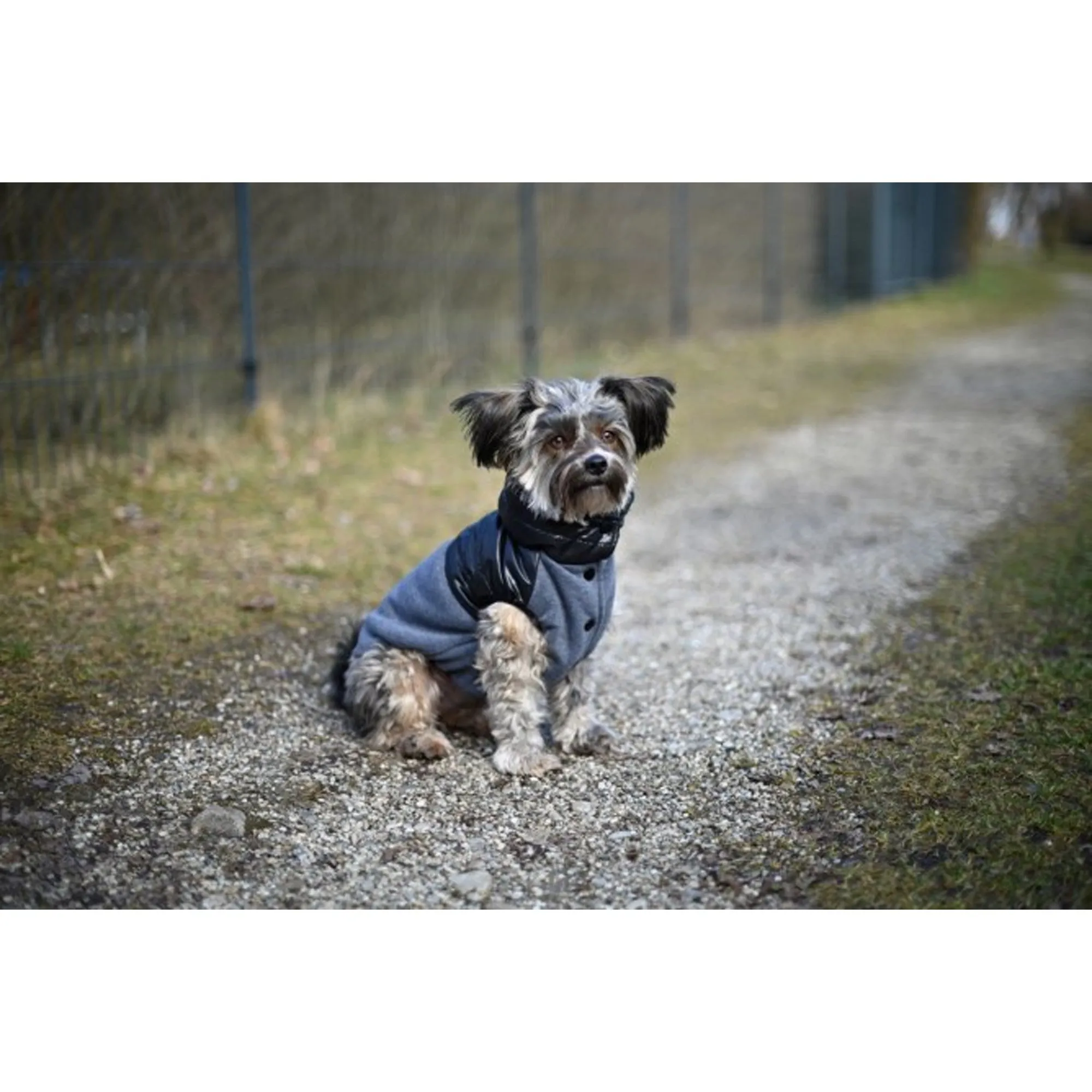 Kerbl Quebec Dog Coat